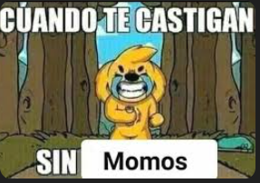 quien gana realmente (actrices del mega)